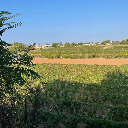 公寓 Casa Mare Salento - A Due Passi Dal Mare 利扎诺码头